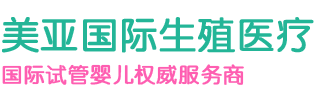 美亚国际