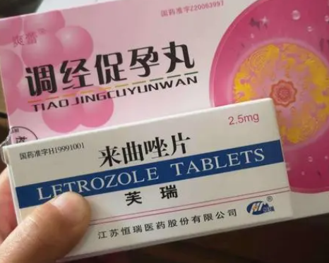 备孕女性吃来曲唑片5天检测到有3个优势卵泡同房易孕吗？