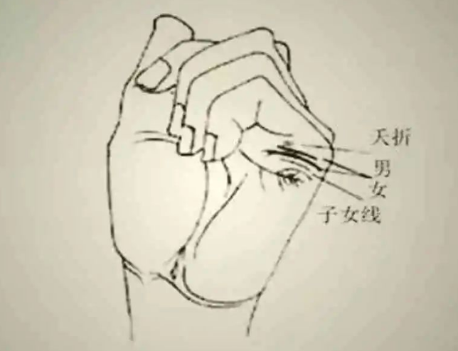 [I握拳看生几个孩子，握拳看图解]