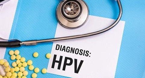 hpv也叫做人乳头瘤病毒