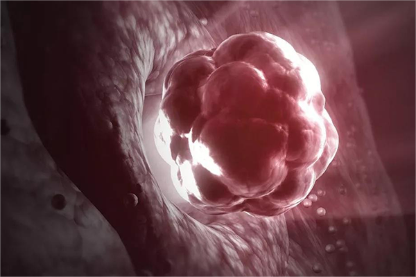 囊胚手术后hcg逐渐上升