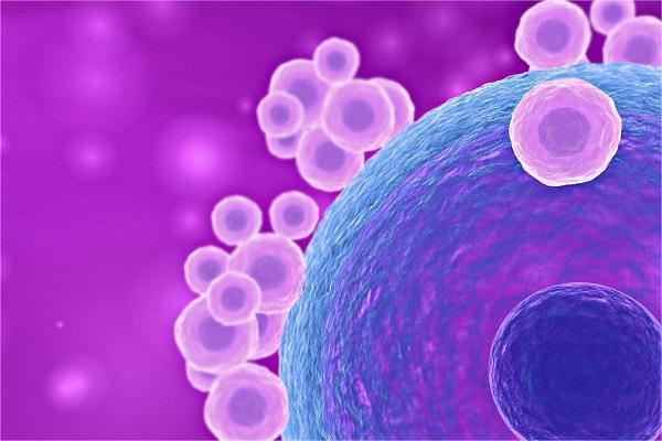 女性一次排出一个卵泡