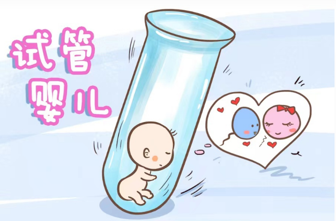 [52岁能在美国做第三代试管婴儿怀双生子吗？求解]