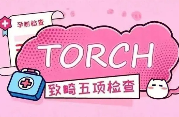 优生五项就是TORCH检查