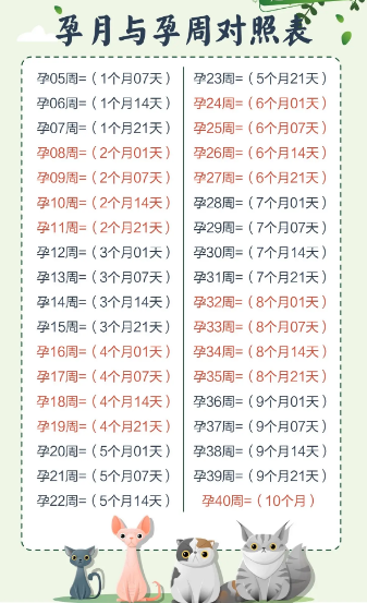 孕周和实际月份表是参考