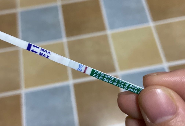 绒促是一种重要的激素