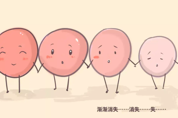 女性每月会排一次卵
