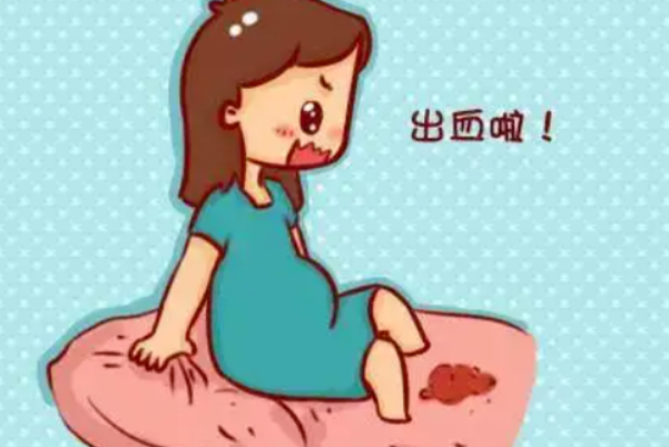 囊胚移植成功后会轻微出血